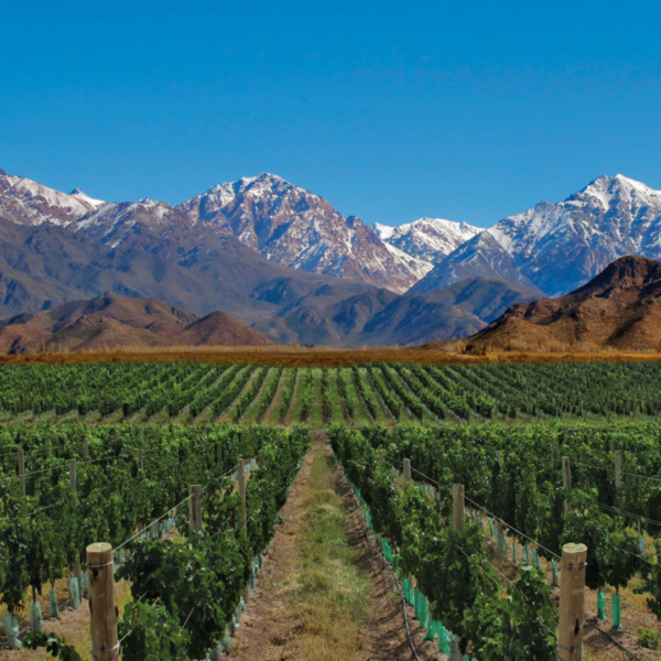 Mendoza: 2 Noches de Hotel